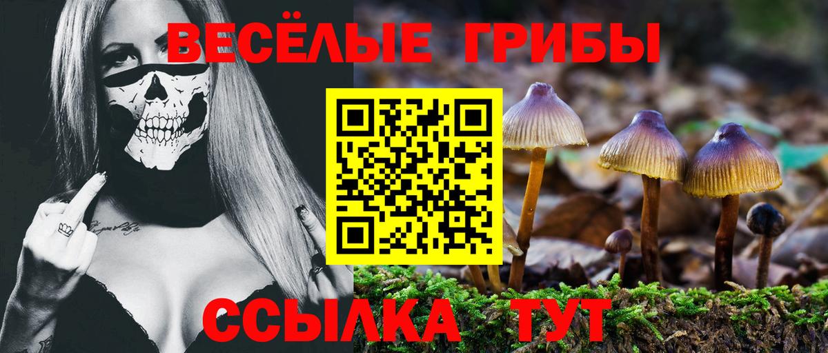 Пыть-Ях  цена наркотик  Галлюциногенные грибы Magic Shrooms  Вход с VPN  Псилоцибиновые грибы Psilocybe 