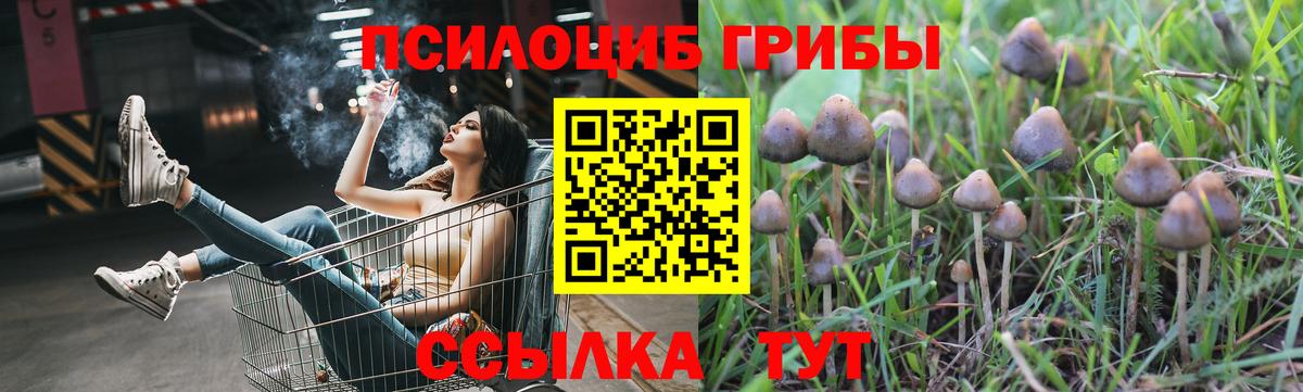 Псилоцибиновые грибы Psilocybine cubensis Пыть-Ях